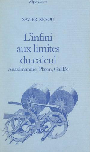 Cover of the book L'infini aux limites du calcul by Christian SALMON