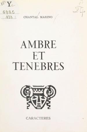 Cover of the book Ambre et ténèbres by Pierre Viguera, Bruno Durocher