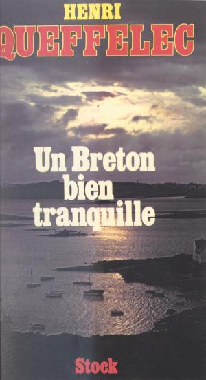 Cover of the book Un Breton bien tranquille by Club de Florence, Jacques Delors