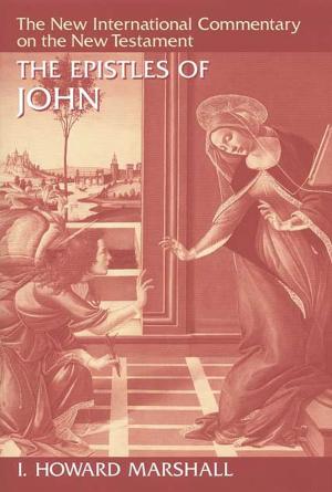 Cover of the book The Epistles of John by Gilbert Meilaender