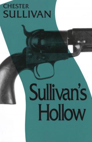 Cover of the book Sullivan's Hollow by Chris Goertzen