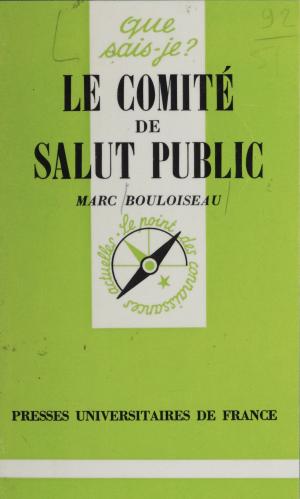 Cover of the book Le Comité de salut public by Gérald Sfez, Michel Senellart