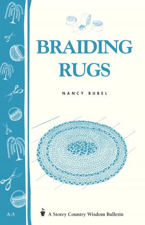 Book cover of Braiding Rugs