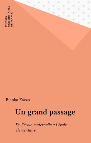 Cover of the book Un grand passage by Jean-Paul Willaime