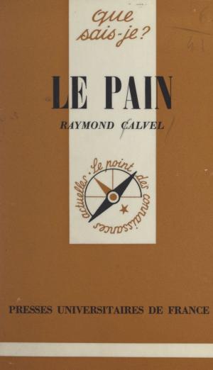 Cover of the book Le pain et la panification by Louis Vax