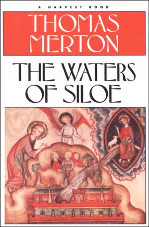 Cover of the book The Waters of Siloe by Amos Oz