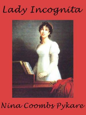 Book cover of Lady Incognita
