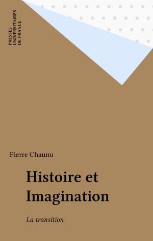 Cover of the book Histoire et Imagination by Louis Skorecki, Paul Audi, Roland Jaccard