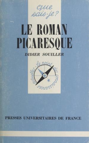 Book cover of Le roman picaresque