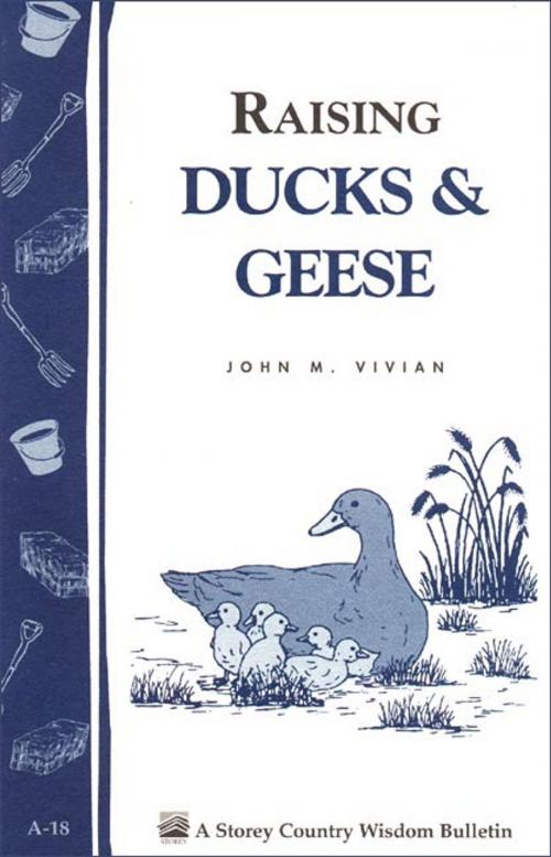 Cover of the book Raising Ducks & Geese by John Vivian, Storey Publishing, LLC