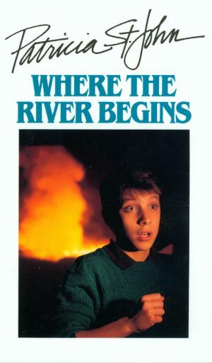Cover of the book Where The River Begins by Ruthie Delk
