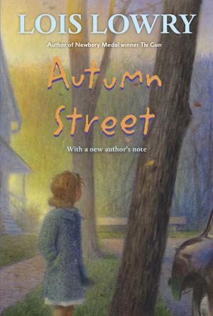 Book cover of Autumn Street