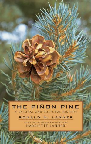 Cover of the book The Pinon Pine by Mary Austin, Melody Graulich