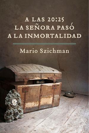 Cover of the book A las 20:25 la señora pasó a la inmortalidad by Lesley Voth