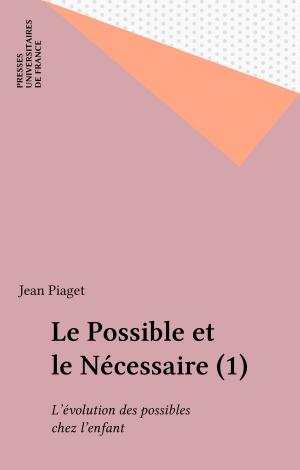 Cover of the book Le Possible et le Nécessaire (1) by André Chouraqui