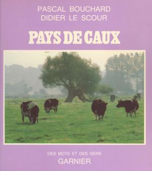 Cover of the book Pays de Caux by Jean Rousselot