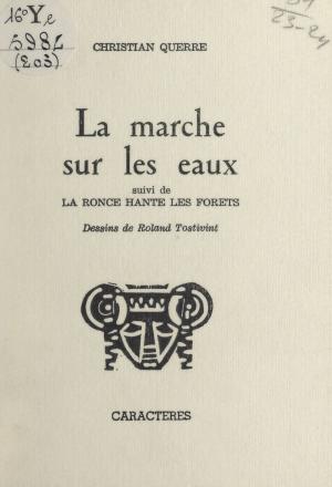 Cover of the book La marche sur les eaux by Maurice Cury, Bruno Durocher