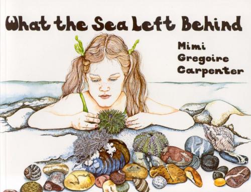 Cover of the book What the Sea Left Behind by Mimi Carpenter, Down East Books
