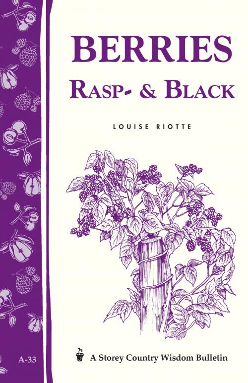 Cover of the book Berries, Rasp- & Black by Louise Riotte, Storey Publishing, LLC