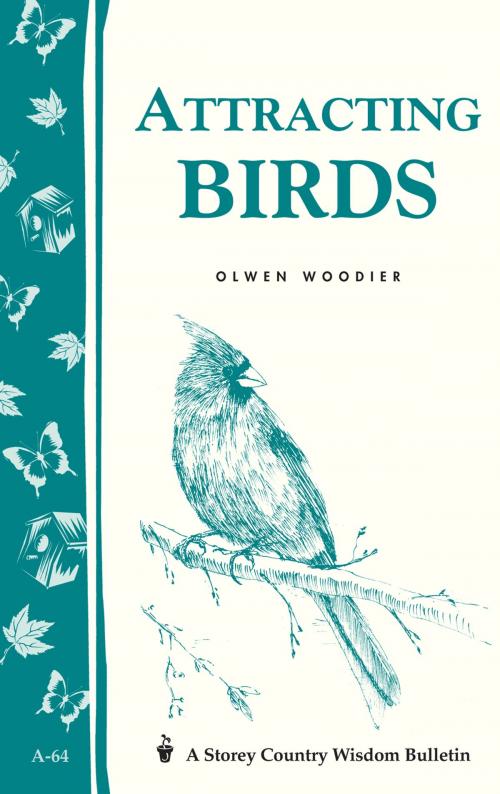 Cover of the book Attracting Birds by Olwen Woodier, Storey Publishing, LLC