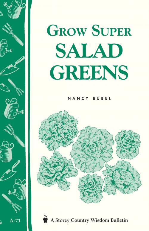 Cover of the book Grow Super Salad Greens by Nancy Bubel, Storey Publishing, LLC