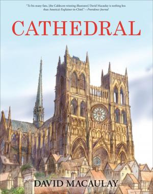 Cover of the book Cathedral by Bernd Heinrich