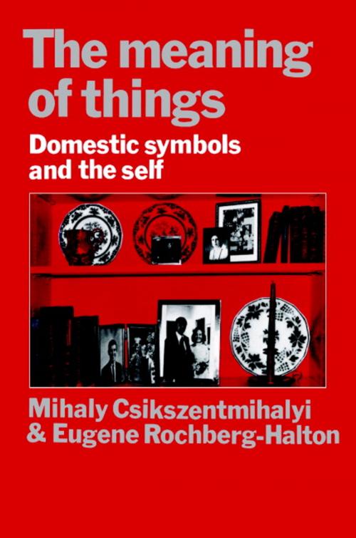 Cover of the book The Meaning of Things by Mihaly Csikszentmihalyi, Eugene Halton, Cambridge University Press