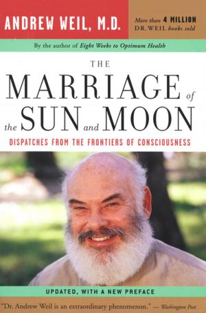 Book cover of The Marriage of the Sun and Moon