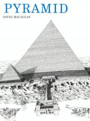 Cover of the book Pyramid by Billy Aronson