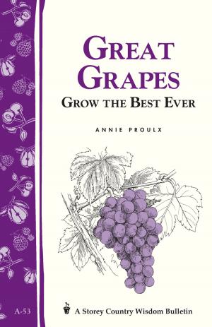 Cover of the book Great Grapes by Frank Hyman