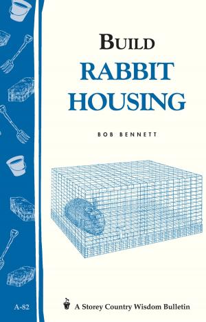 Book cover of Build Rabbit Housing