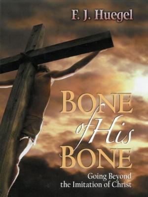 Cover of the book Bone of His Bone by Glenn Kantner, Marty Berglund