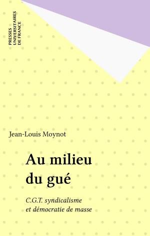 Cover of the book Au milieu du gué by Pierre Macherey
