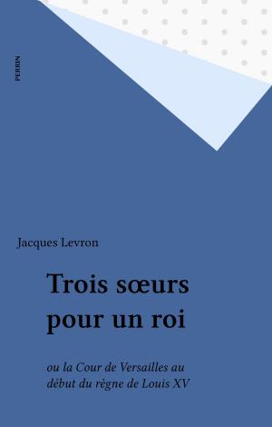 Cover of the book Trois sœurs pour un roi by Stéphane Rials