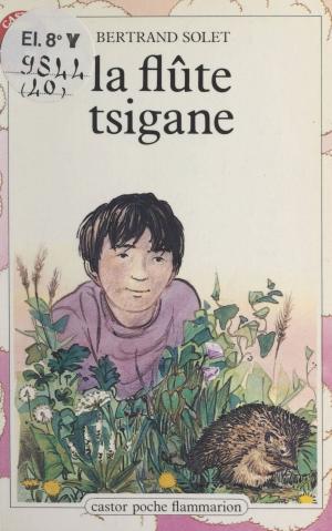 Cover of the book La flûte tsigane by Claudine Teyssèdre, Pierre-Marie Baudonnière