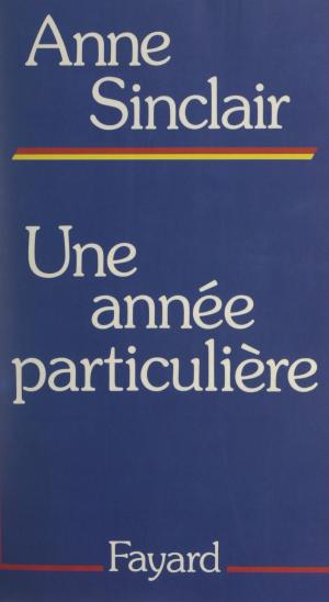 Cover of the book Une année particulière by Anne Nivat