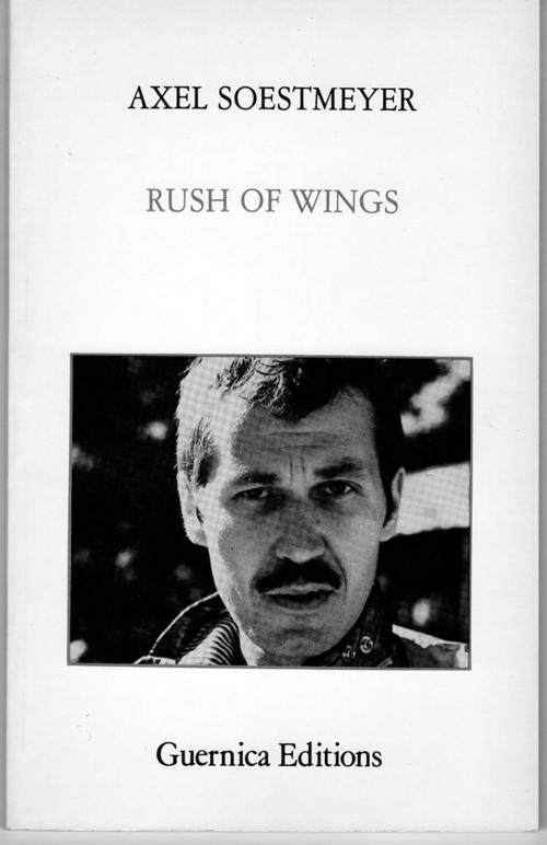 Cover of the book Rush of Wings by , Guernica Editions