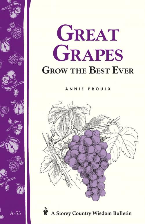 Cover of the book Great Grapes by Annie Proulx, Storey Publishing, LLC