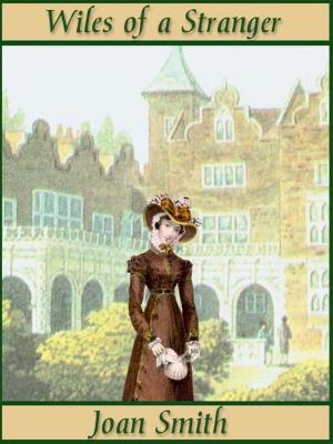 Cover of the book Wiles of a Stranger by Elizabeth Neff Walker
