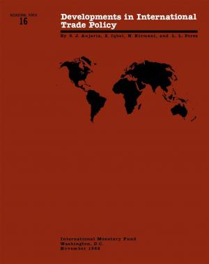 Cover of the book Developments in International Trade Policy by Petya Koeva Brooks, Mahmood Pradhan