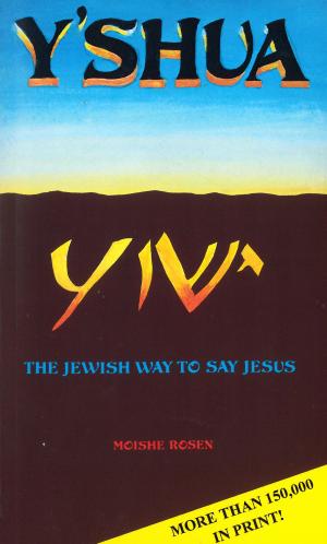 Cover of the book Yshua by Mark Sayers