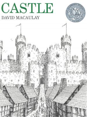 Cover of the book Castle by Meg McLaren