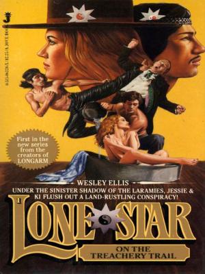 Cover of the book Lone Star 01 by Washington Irving