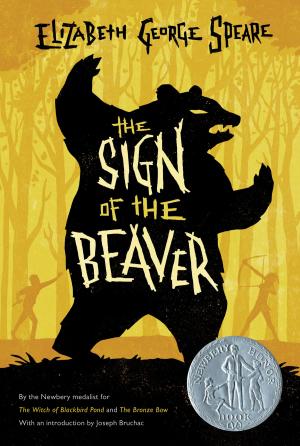Cover of the book The Sign of the Beaver by Kjartan Poskitt