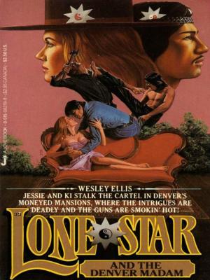 Book cover of Lone Star 13