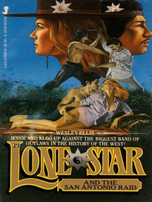 Book cover of Lone Star 17