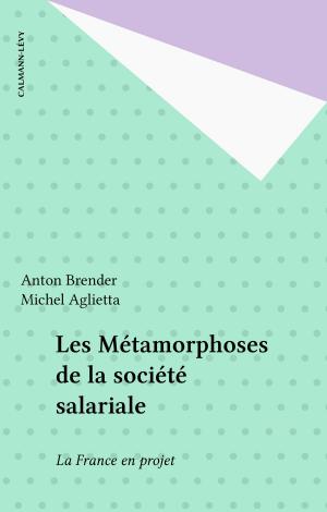 Cover of the book Les Métamorphoses de la société salariale by Michel Charzat, Ghislaine Toutain, Jean-Pierre Chevènement