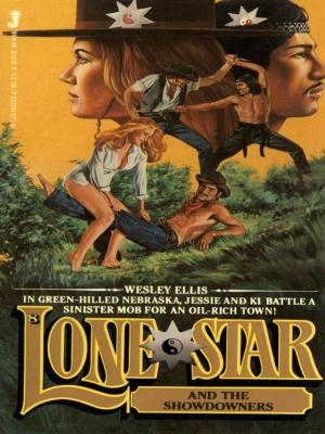 Cover of the book Lone Star 08 by Laura Shapiro