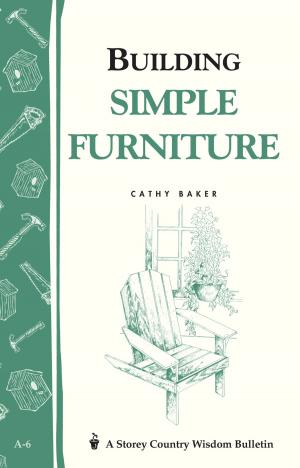 Cover of the book Building Simple Furniture by Wilbur F. Eastman, Jr.