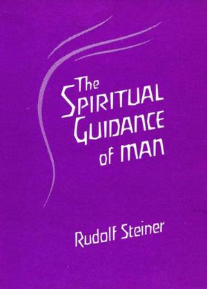Cover of the book The Spiritual Guidance of Man by Rudolf Steiner